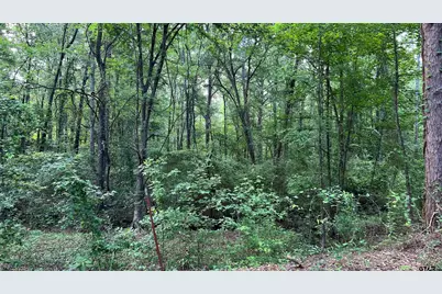 401 County Road 2920, Golden, TX 75444 - Photo 10