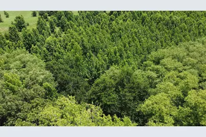 401 County Road 2920, Golden, TX 75444 - Photo 8