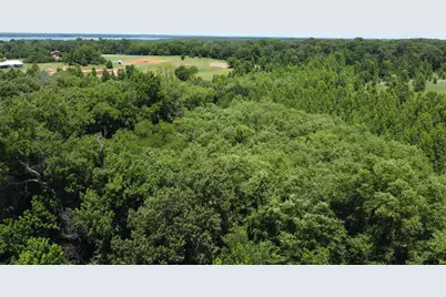 401 County Road 2920, Golden, TX 75444 - Photo 4