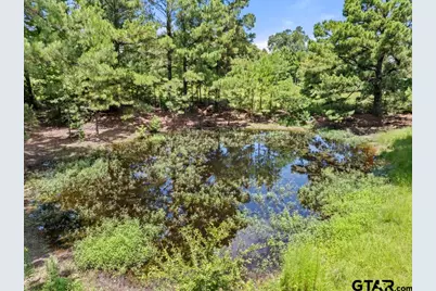 5353 Cr 385, Tyler, TX 75708 - Photo 22