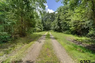 615 Co Rd 1785, Yantis, TX 75497 - Photo 22