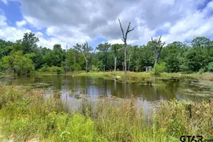 615 Co Rd 1785, Yantis, TX 75497 - Photo 28