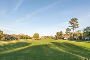 Dogwood Lake Cir (Lot 18), Bullard, TX 75757 - Photo 10