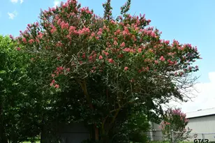 204 Mt Sylvan St, Lindale, TX 75771 - Photo 30