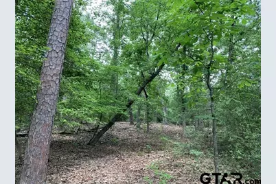 300 & 301 Misty Glen Lane, Holly Lake Ranch, TX 75765 - Photo 8