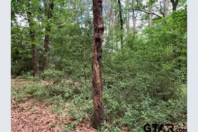 300 & 301 Misty Glen Lane, Holly Lake Ranch, TX 75765 - Photo 4