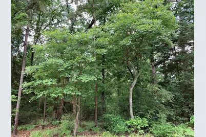 300 & 301 Misty Glen Lane, Holly Lake Ranch, TX 75765 - Photo 6