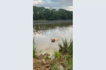 12251 Fm 16 East, Winona, TX 75792 - Photo 34