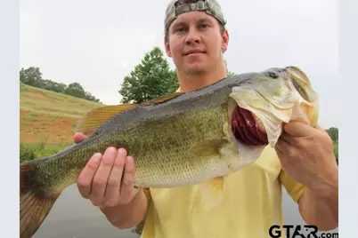 12251 Fm 16 East, Winona, TX 75792 - Photo 10