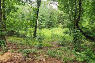 Lot 6 Cr 4125, Lindale, TX 75771 - Photo 1