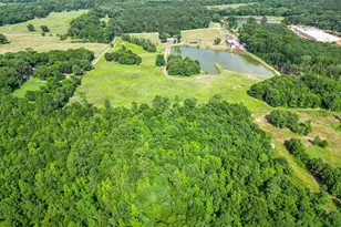 2711 N Fm 250, Hughes Springs, TX 75656 - Photo 30