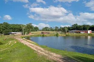 2711 N Fm 250, Hughes Springs, TX 75656 - Photo 46