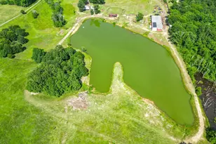 2711 N Fm 250, Hughes Springs, TX 75656 - Photo 32