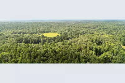 Tbd Cr 2650, Mineola, TX 75773 - Photo 16