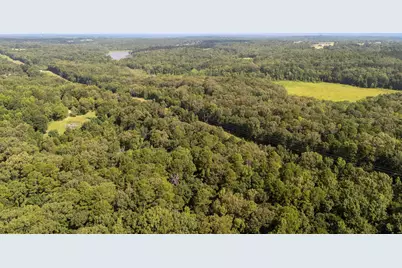 Tbd Cr 2650, Mineola, TX 75773 - Photo 22