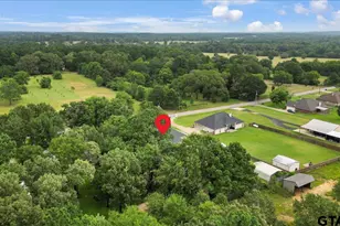 15663 C R 1104, Flint, TX 75762 - Photo 40
