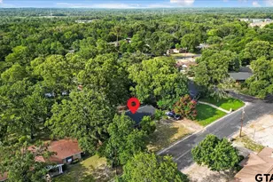 15663 C R 1104, Flint, TX 75762 - Photo 36