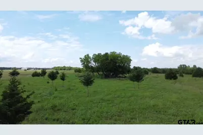 1146 County Road 2175, Klondike, TX 75448 - Photo 10