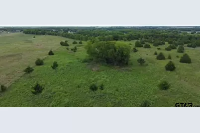 1146 County Road 2175, Klondike, TX 75448 - Photo 8