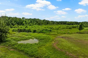 12524 Fm 2088, Pittsburg, TX 75686 - Photo 38