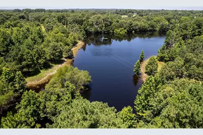 259 County Rd 2500, Mineola, TX 75773 - Photo 6