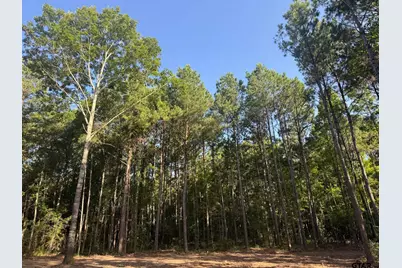 Tract 3A Cr 2322, Rusk, TX 75785 - Photo 4