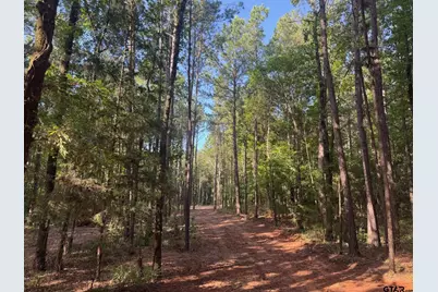Tract 3A Cr 2322, Rusk, TX 75785 - Photo 6