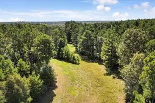 Tbd Sue Belle Rd, Marshall, TX 75670 - Photo 1