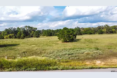 16078 Aniston Lane, Flint, TX 75762 - Photo 16