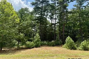 16203 Cr 436, Lindale, TX 75771 - Photo 1
