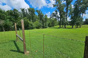 3404 E St Hwy 154, Gilmer, TX 75644 - Photo 10