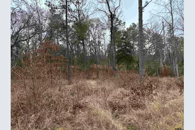 Tbd Fm 747, Jacksonville, TX 75766 - Photo 2