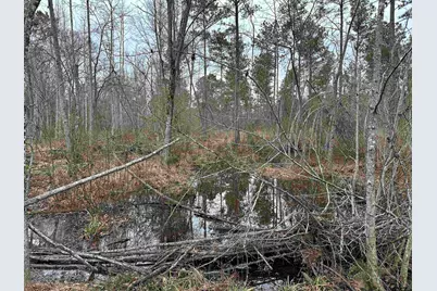 Tbd Fm 747, Jacksonville, TX 75766 - Photo 8