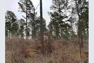 Tbd Fm 747, Jacksonville, TX 75766 - Photo 20