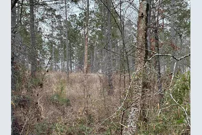 Tbd Fm 747, Jacksonville, TX 75766 - Photo 12