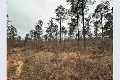 Tbd Fm 747, Jacksonville, TX 75766 - Photo 18