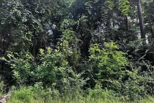 540 Chelsea Ln, Bullard, TX 75757 - Photo 4