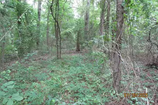 586 Crescent, Bullard, TX 75757 - Photo 4