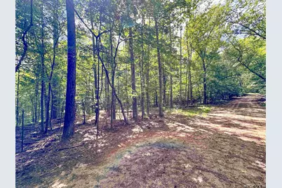 0 An County Road 3194, Frankston, TX 75763 - Photo 4