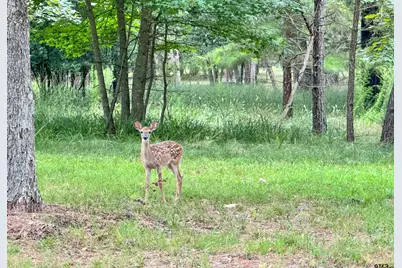 0 An County Road 3194, Frankston, TX 75763 - Photo 16