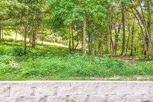 16713 Crk Btm Ct, Winona, TX 75792 - Photo 22