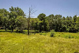 2780 Poppy Rd, Gilmer, TX 75644 - Photo 32