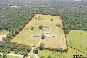 1303 Co Rd 2314, Pittsburg, TX 75686 - Photo 48