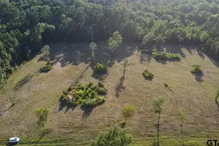 18089 FM 2767, Winona, TX 75792 - Photo 1