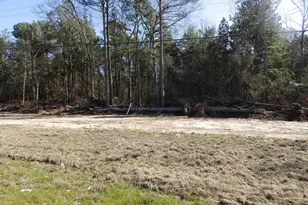 20175 S Hwy 155 Lot E-1, Flint, TX 75762 - Photo 22