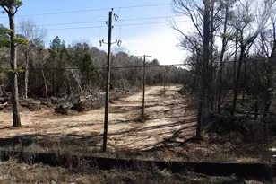 20175 S Hwy 155 Lot E-1, Flint, TX 75762 - Photo 16