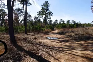 20175 S Hwy 155 Lot E-1, Flint, TX 75762 - Photo 32