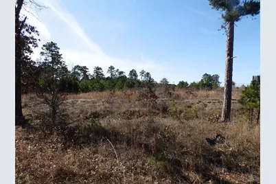 20175 S Hwy 155 Lot E-1, Flint, TX 75762 - Photo 30