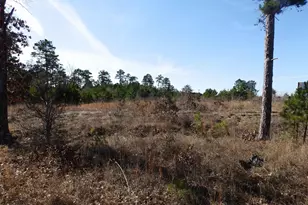 20175 S Hwy 155 Lot E-1, Flint, TX 75762 - Photo 30