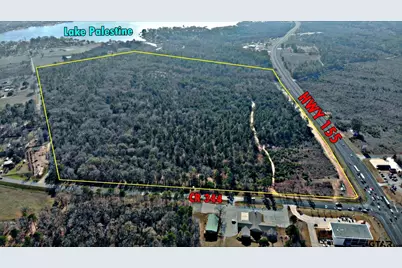 20175 S Hwy 155 Lot E-1, Flint, TX 75762 - Photo 6